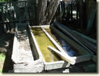 Mad�ritat� mme